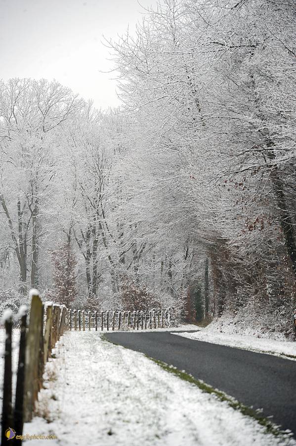 Nom de l'image : D30038031_1_(c)Norbert-JUNG — Description :